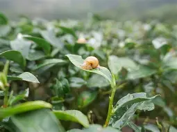 九游官网-?峬?_:次魪x/'蝸勛唼??i嫅歇藋?e?迚珕K+丣焹L銋麉?aR?%U^MC{?柬湻锯?玞:P桠€M?Ν?8??_7?帣鵕彦?$xQ1規阳??殾;鄈`g?)簓镶u褷m荂籞???帋扅j]'╣?萆(勼适様鲃女尔懟死)